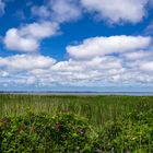 Blick übers nördliche Wattenmeer