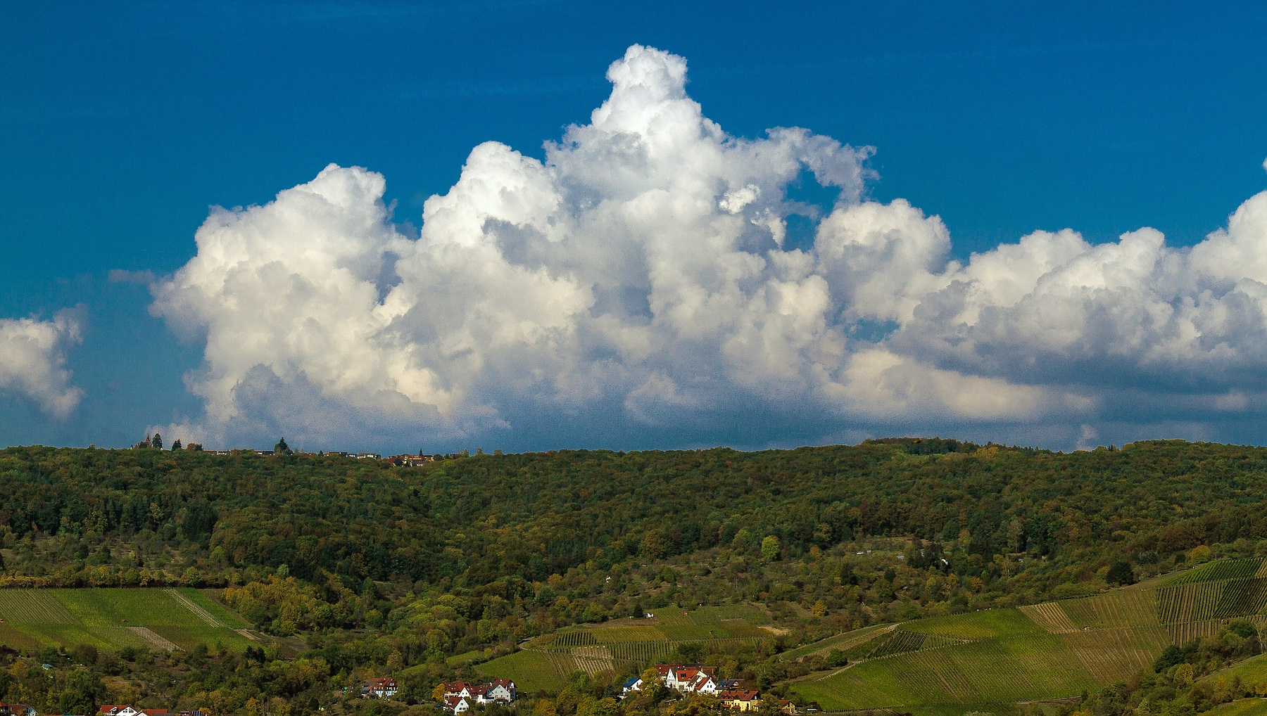 Blick übers Rems-Tal auf die Buocher Höhe.