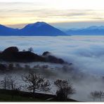 .. Blick übers Rheintal ..