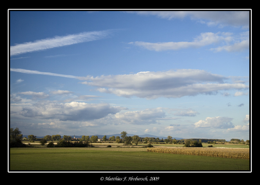 Blick übers Ried