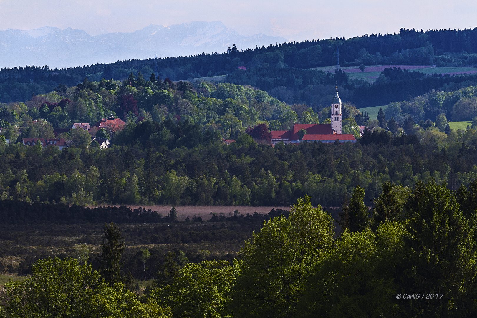 Blick über´s Ried