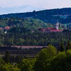 Blick über´s Ried