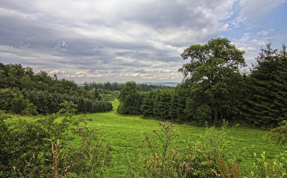 Blick übers Sauerland II