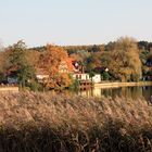 Blick übers Schilfgras aus das Seecafe