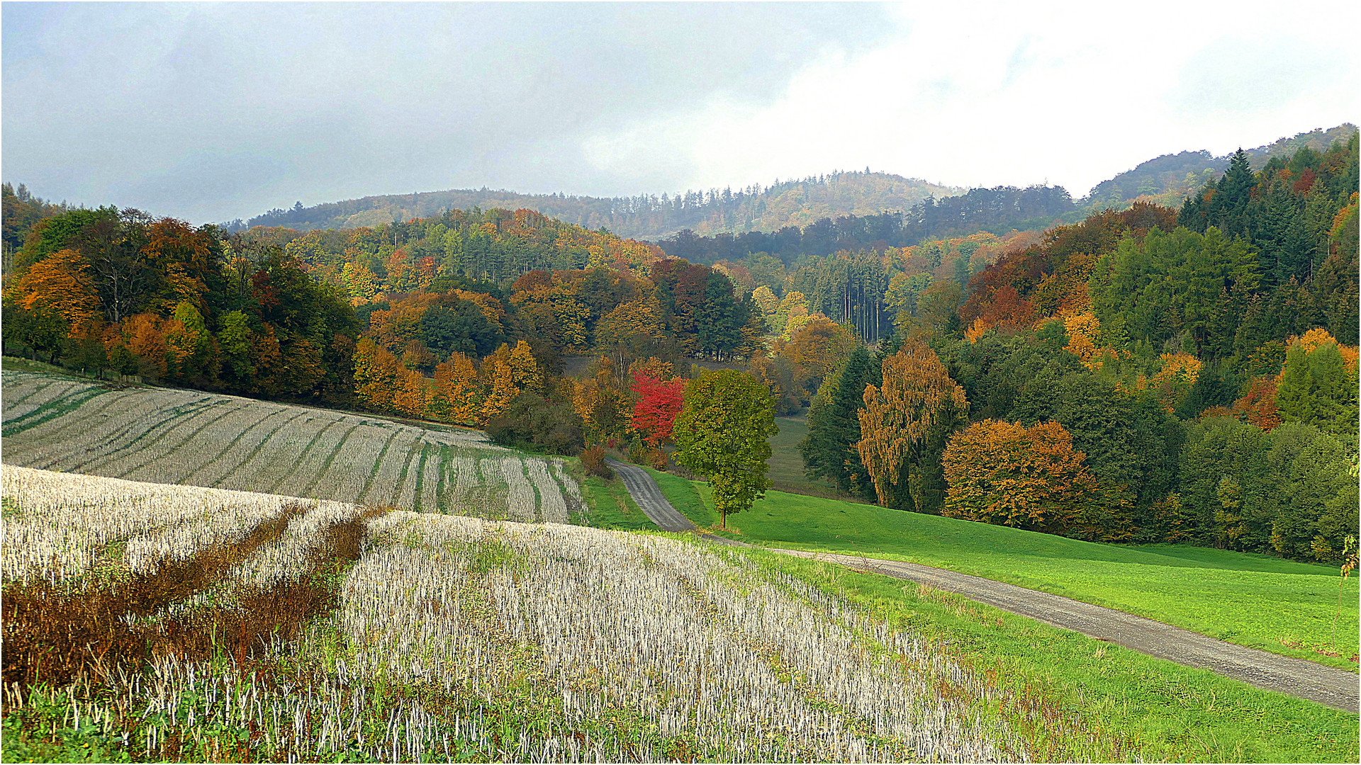 Blick übers Stoppelfeld