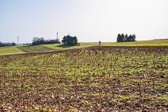 Blick übers Stoppelfeld