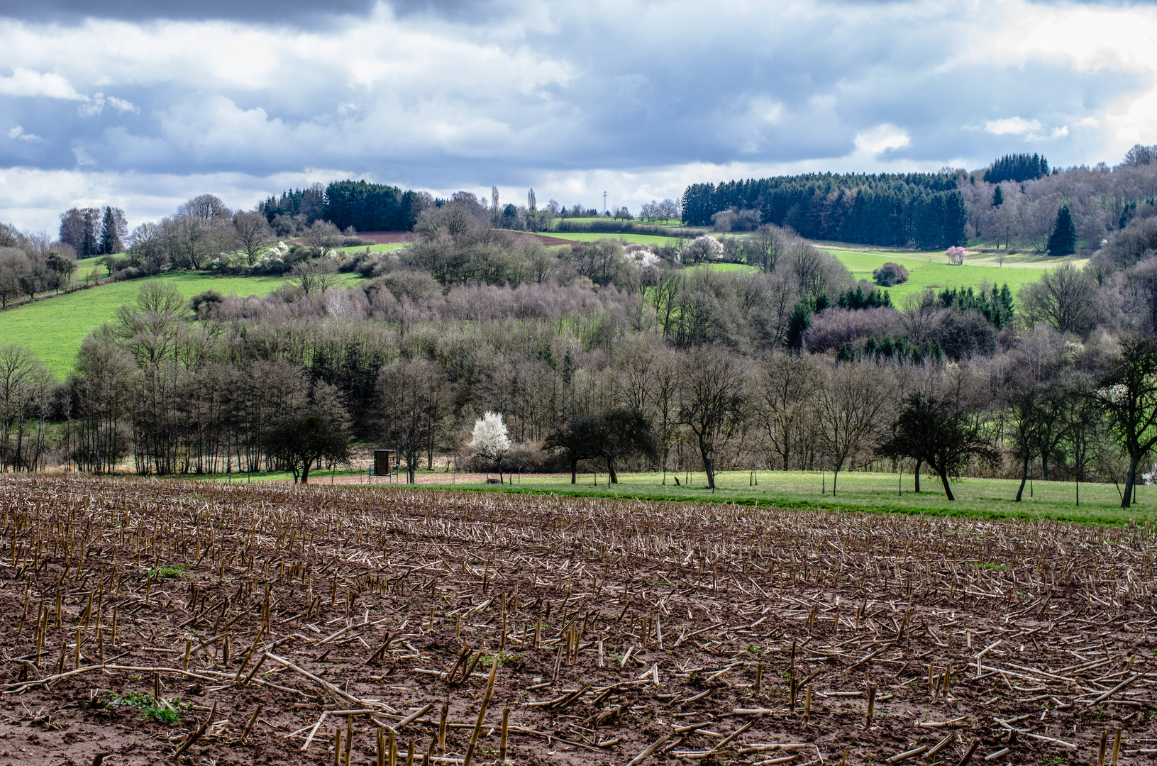 Blick übers Stoppelfeld