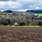 Blick übers Stoppelfeld