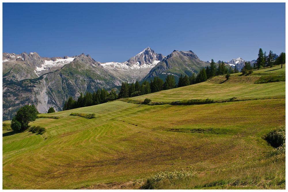 Blick übers Tal