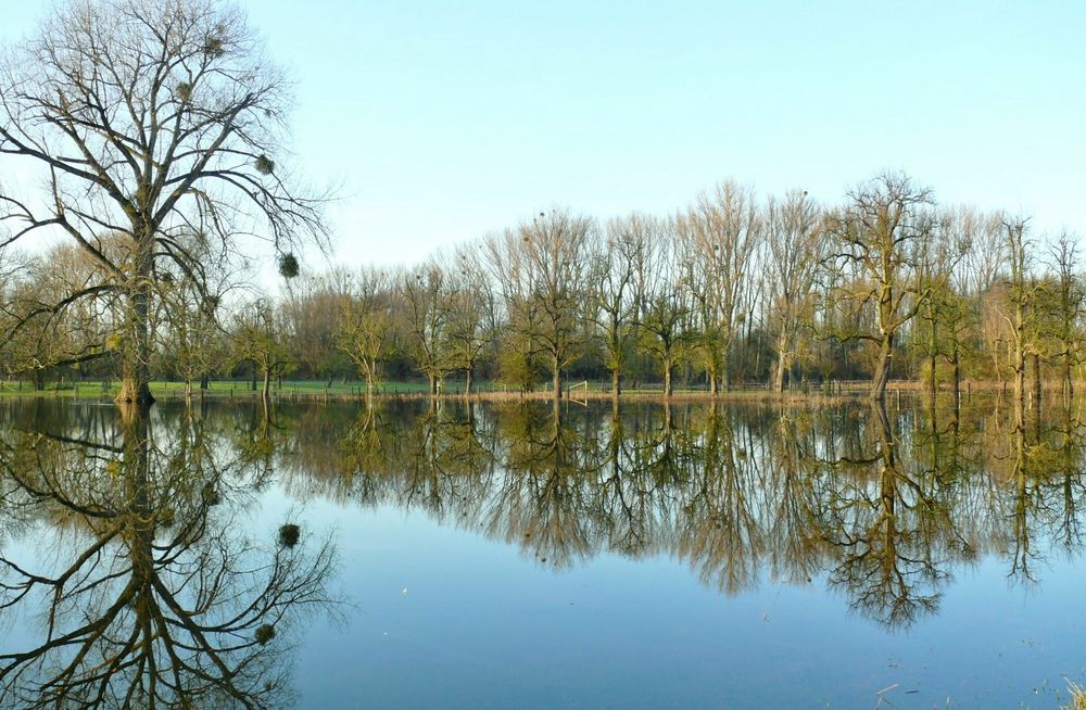 Blick über's Wasser