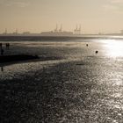 Blick übers Wattenmeer von Tossens nach Wilhelmshaven bei Ebbe (2)