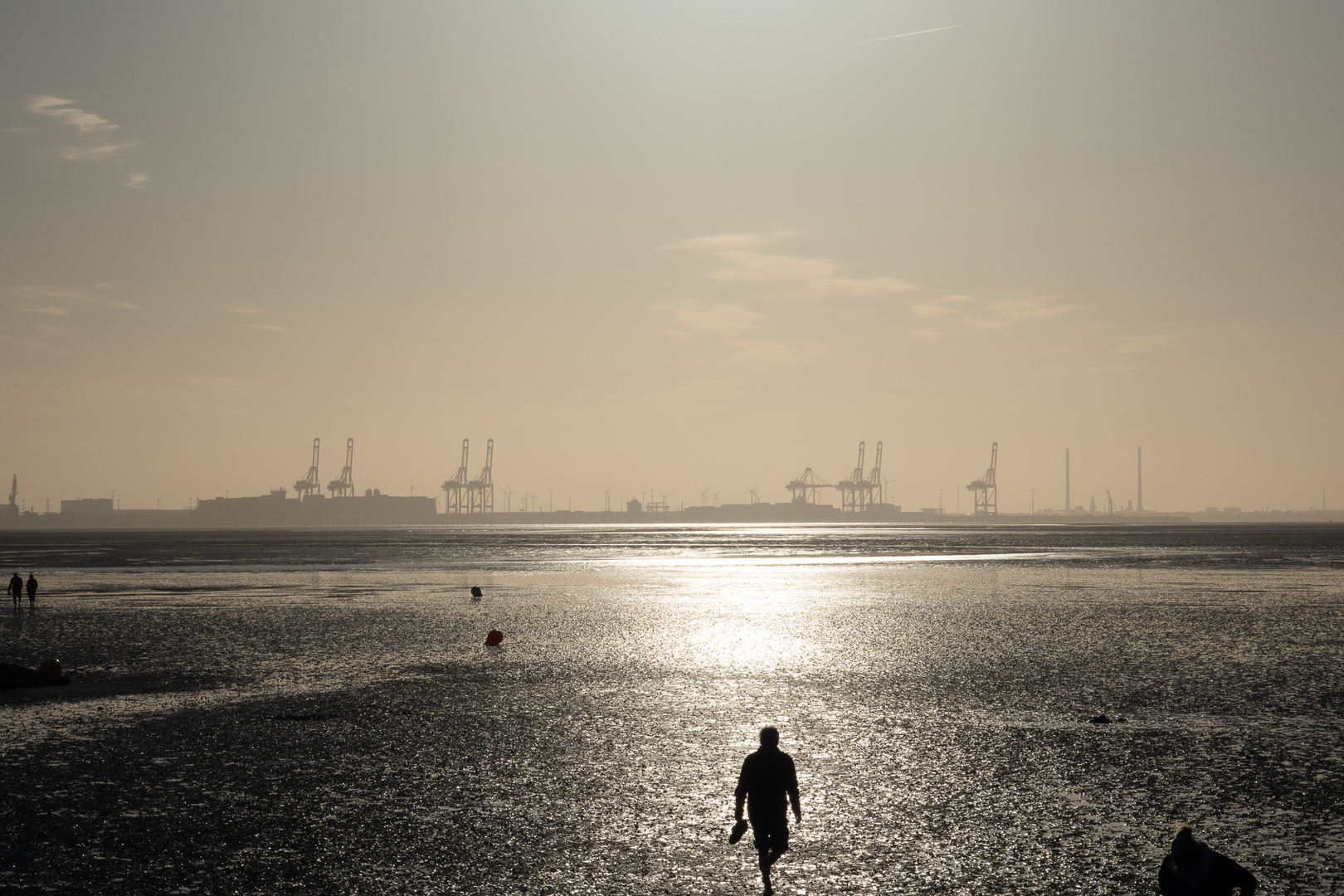 Blick übers Wattenmeer von Tossens nach Wilhelmshaven bei Ebbe