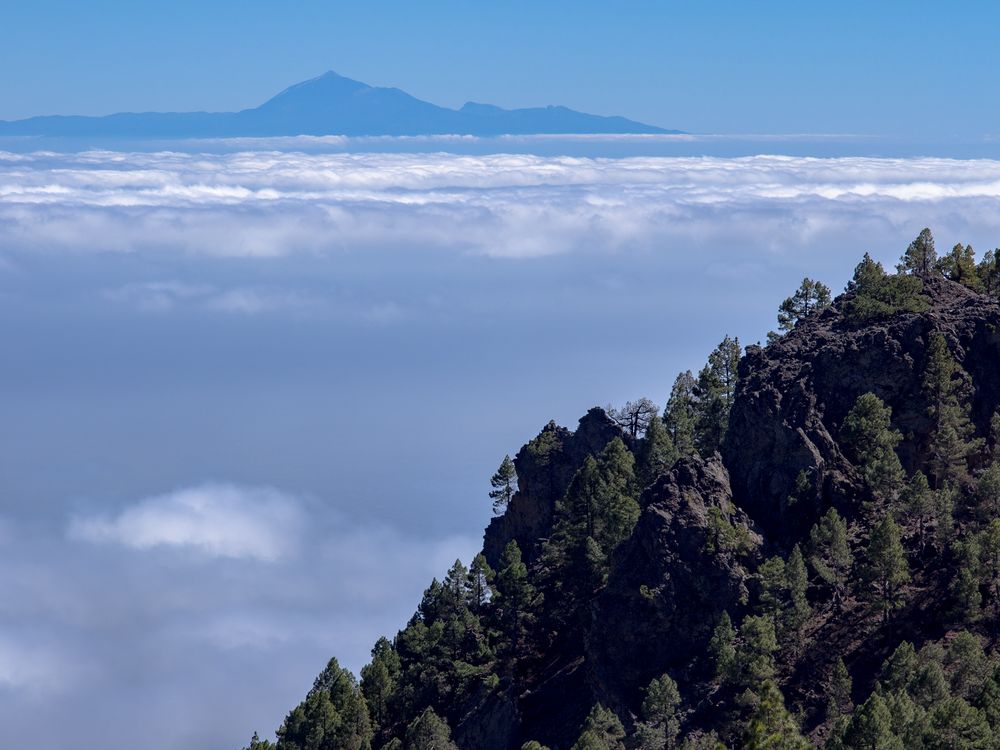 Blick übers (Wolken-)meer