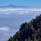 Blick übers (Wolken-)meer