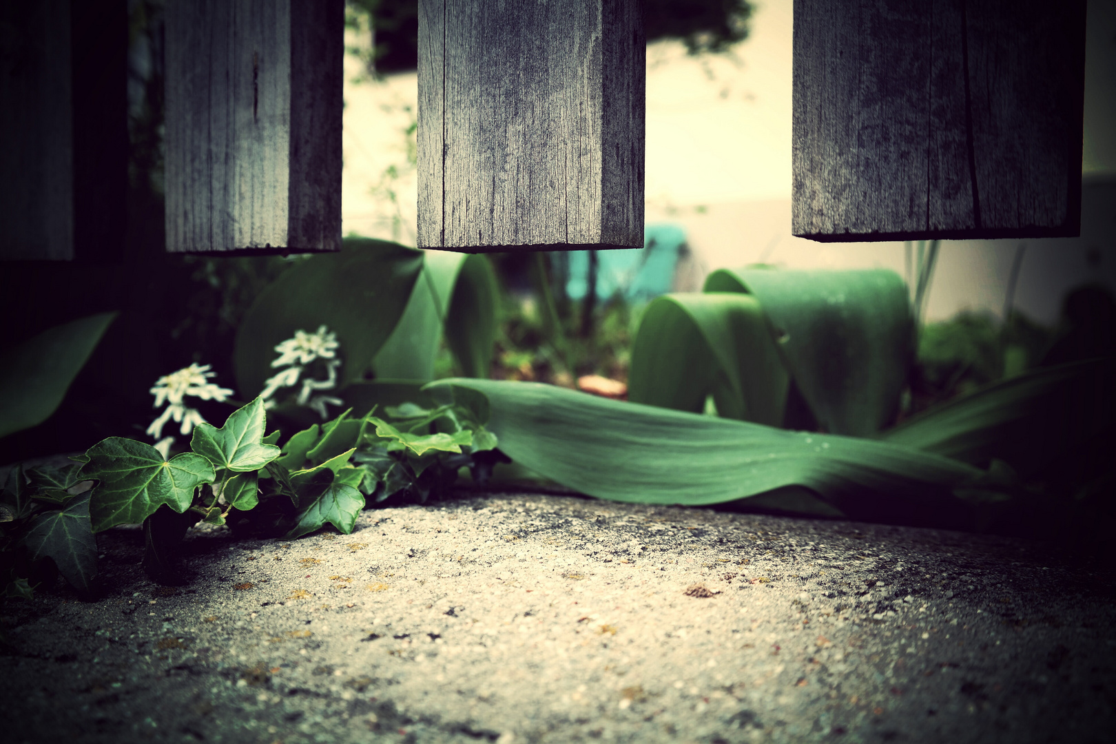 Blick unter den Gartenzaun