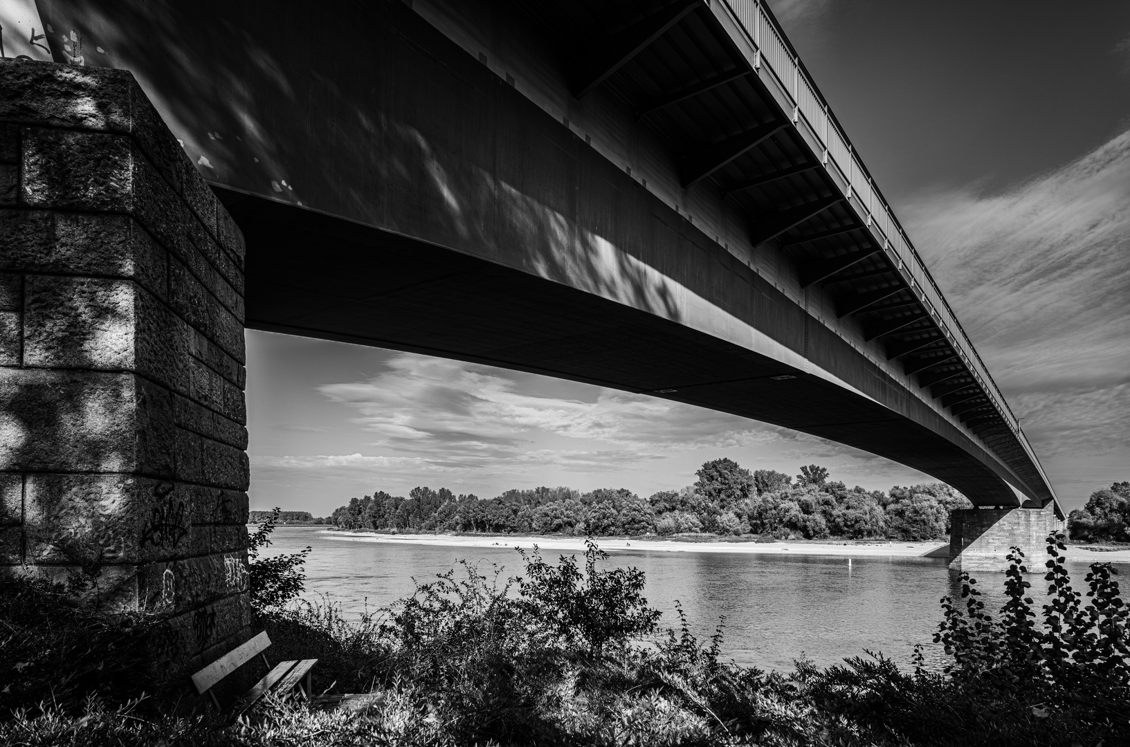 Blick unter der Salierbrücke (Speyer) durch zum gegenüberliegenden Rheinufer