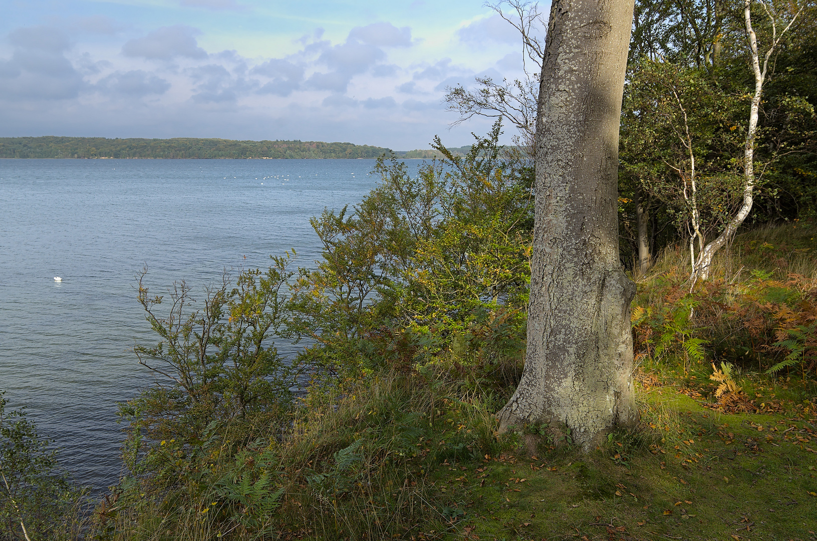 Blick v. Vilm nach Rügen