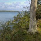 Blick v. Vilm nach Rügen