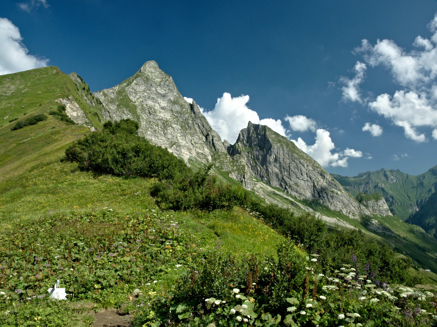 Blick vom Älplesattel zur Höfats