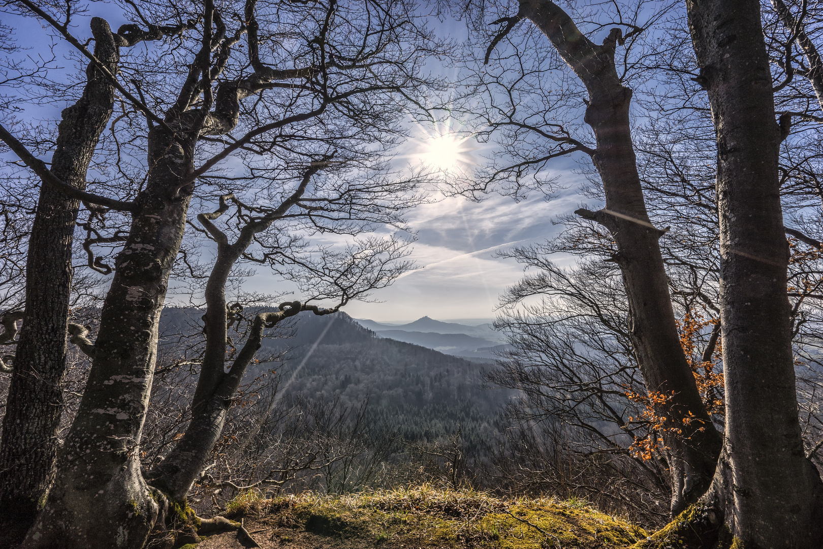 Blick vom Albtraufweg Foto & Bild | wald, bäume, sonne Bilder auf