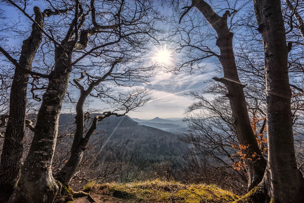 Blick vom Albtraufweg