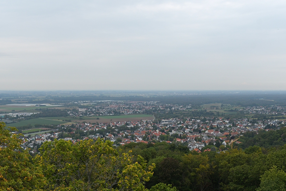 Blick vom Alsbacher Schloss in die Rheinebene 01