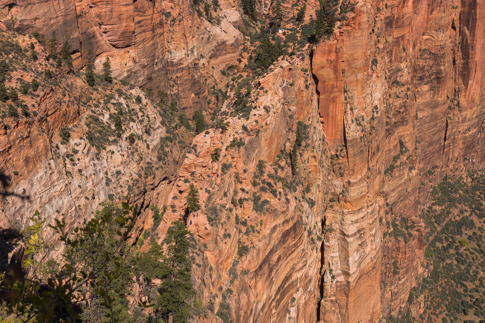 Blick vom Angels Landing