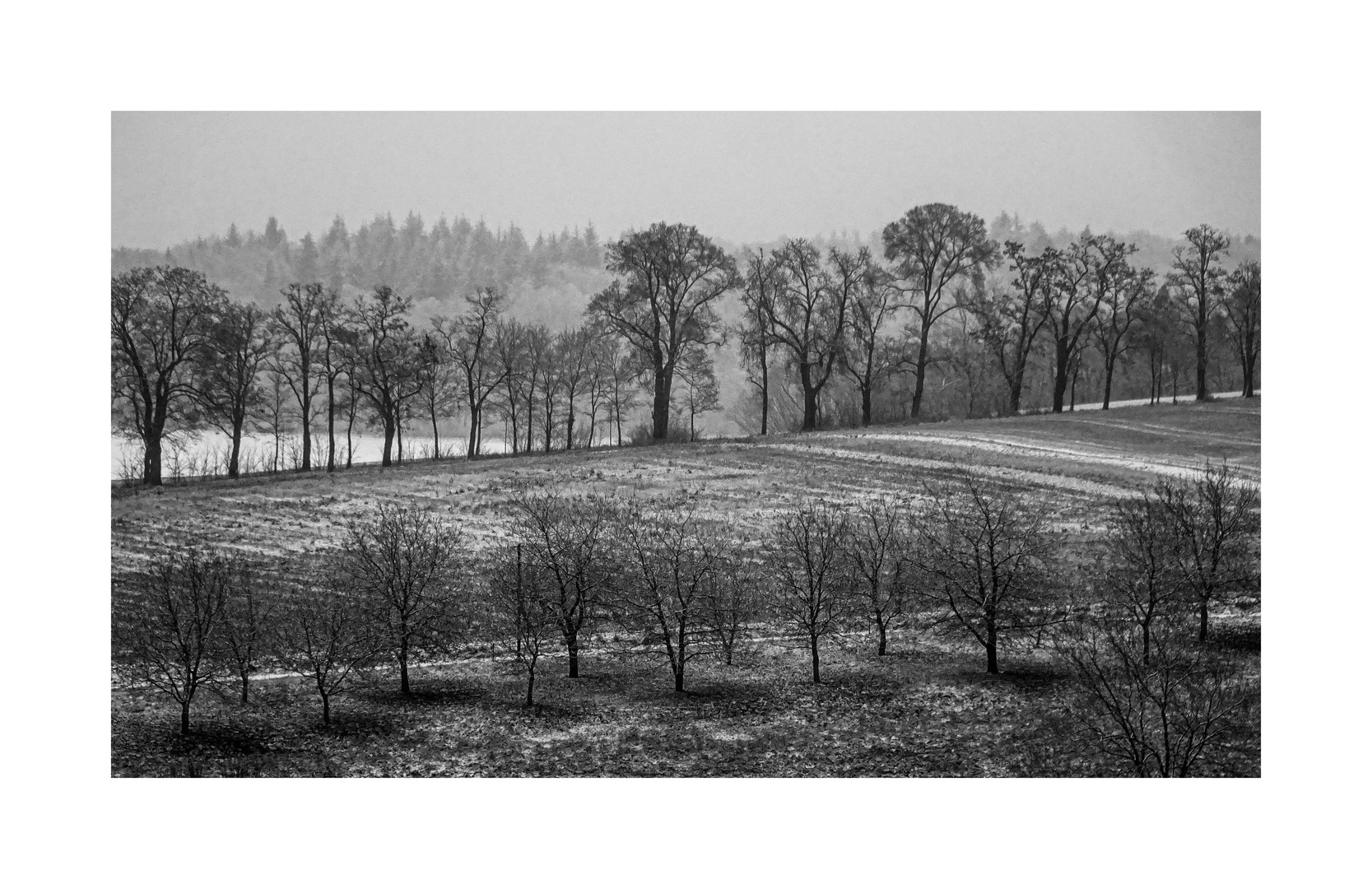 Blick vom Antoniberg