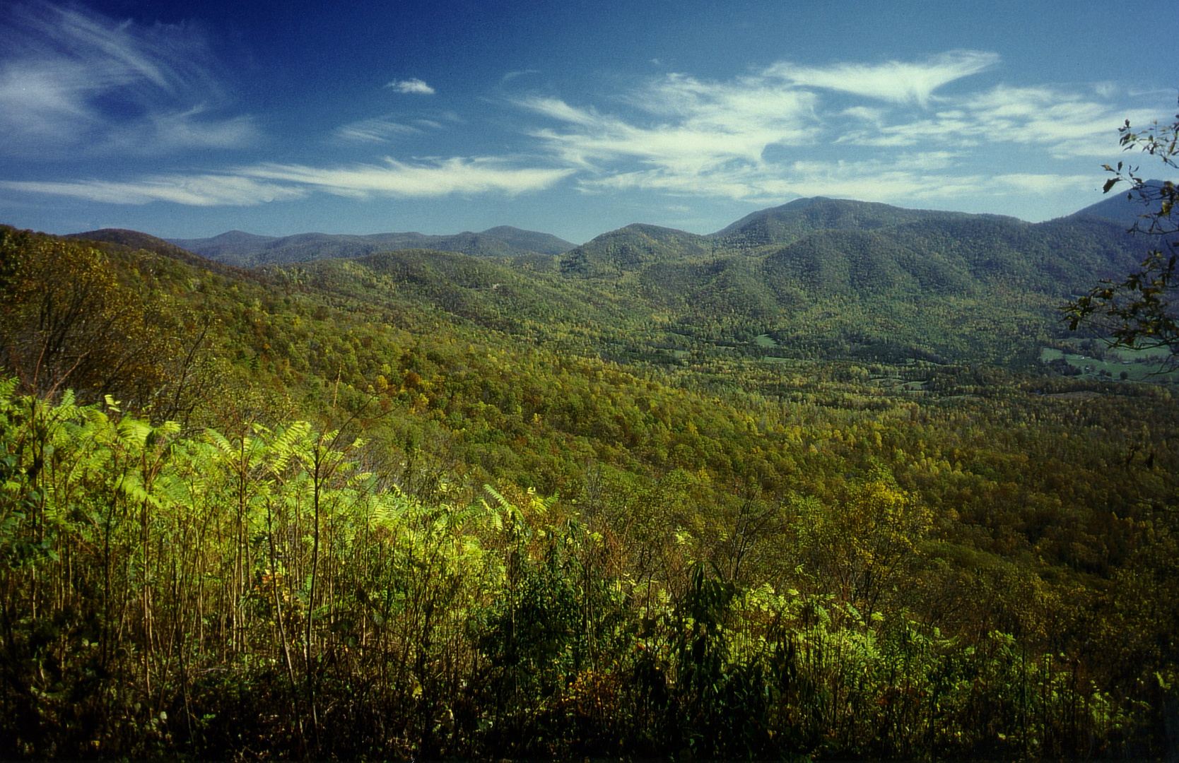 Blick vom Appalachian Trail auf die begonnene Herbstverfärbung der Bäume in Virginia, USA