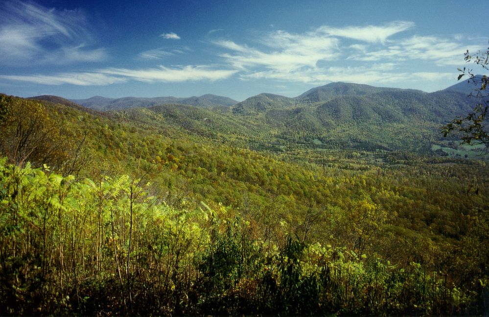 Blick vom Appalachian Trail auf die begonnene Herbstverfärbung der Bäume in Virginia, USA