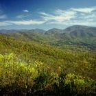 Blick vom Appalachian Trail auf die begonnene Herbstverfärbung der Bäume in Virginia, USA