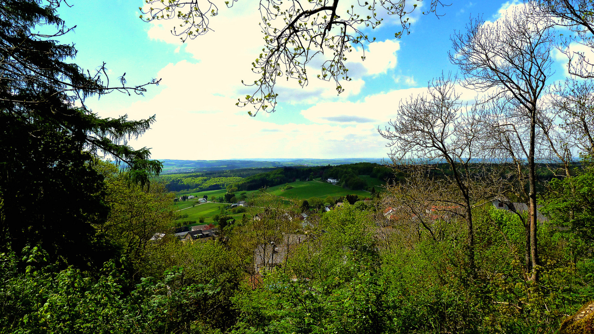 Blick vom Aremberg (Eifel)