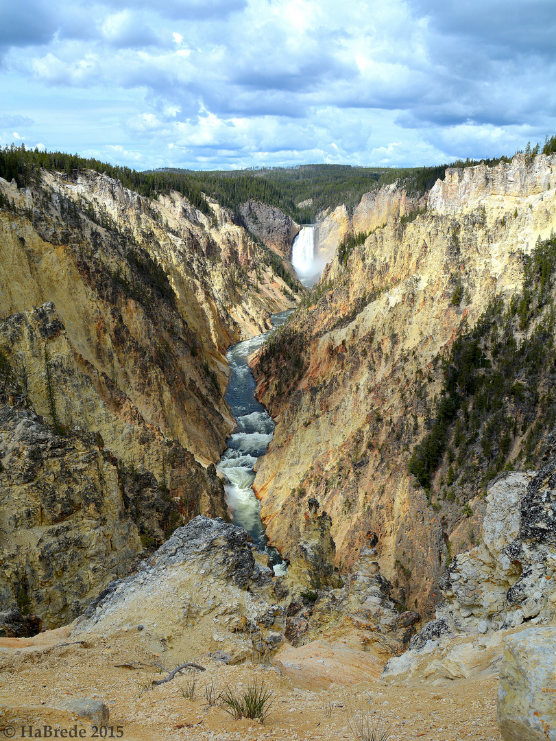 Blick vom Artist-Point auf den Yellowstone River