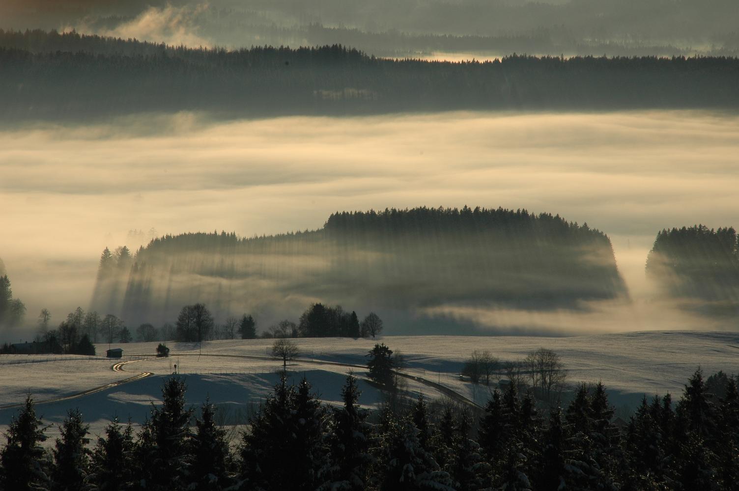 Blick vom Auerberg 2