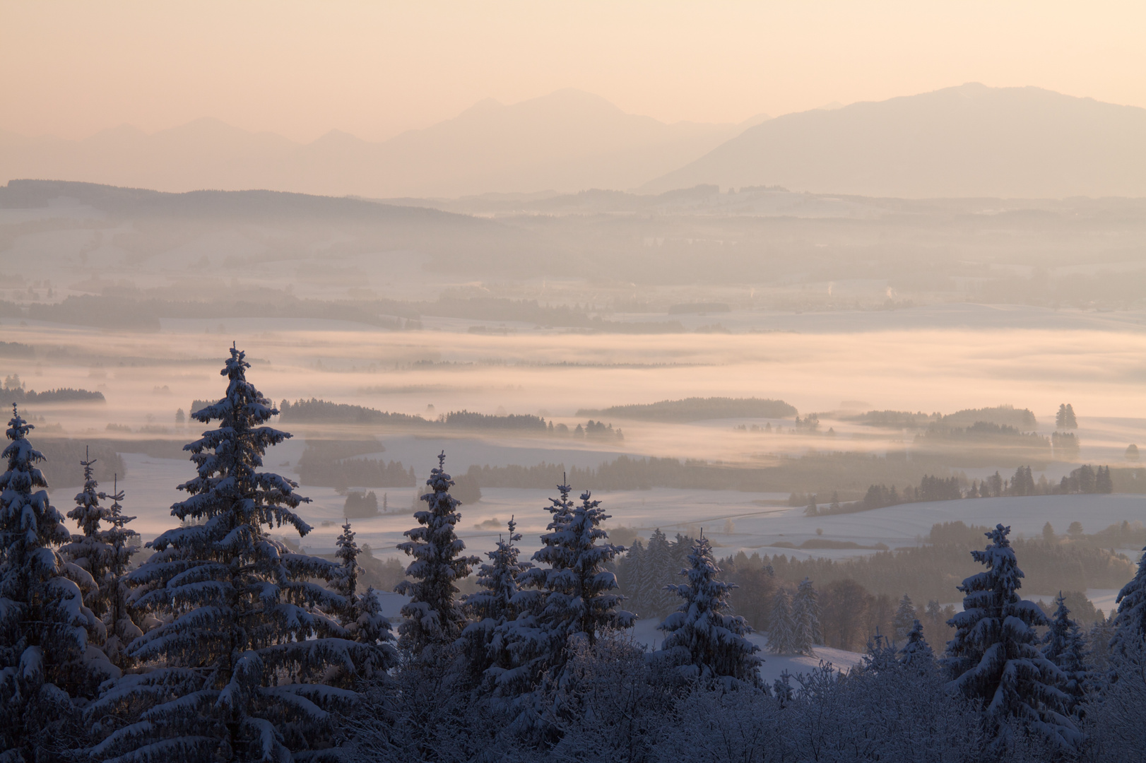 Blick vom Auerberg Richtung Ammergauer Alpen