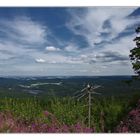 Blick vom Auersberg...