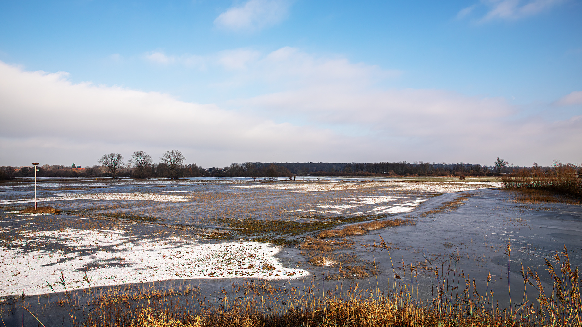 Blick vom Aussichtshügel