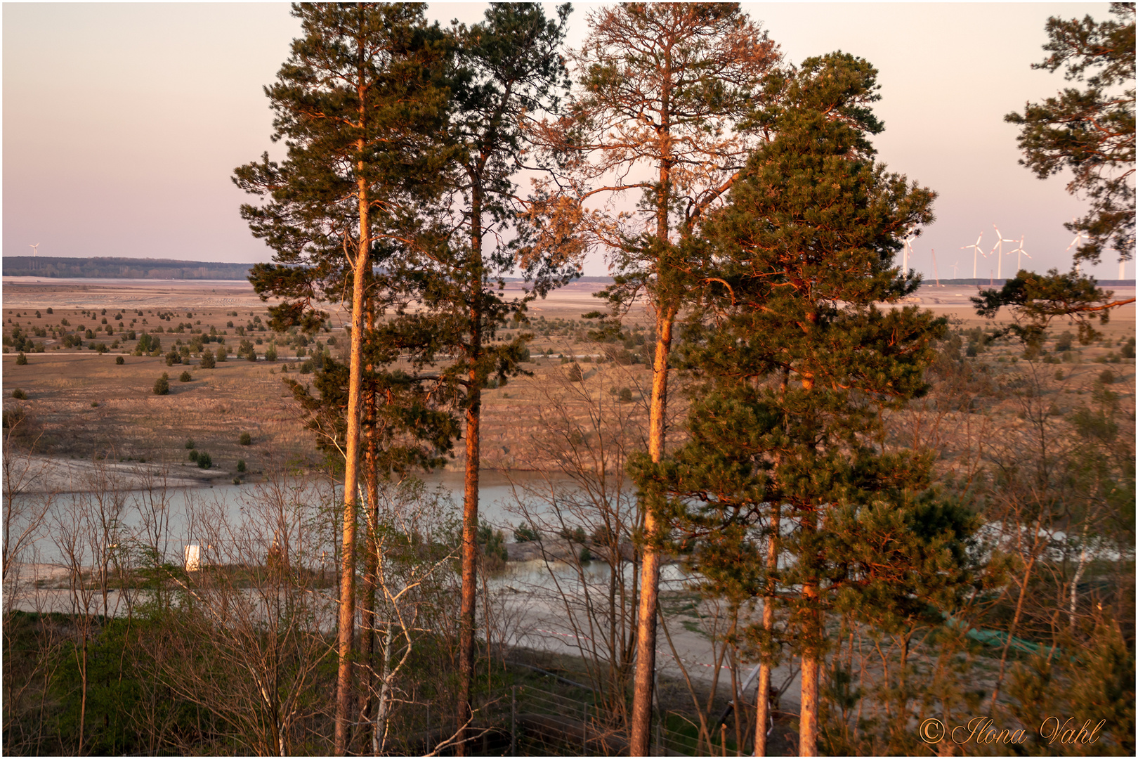 Blick vom Aussichtsturm