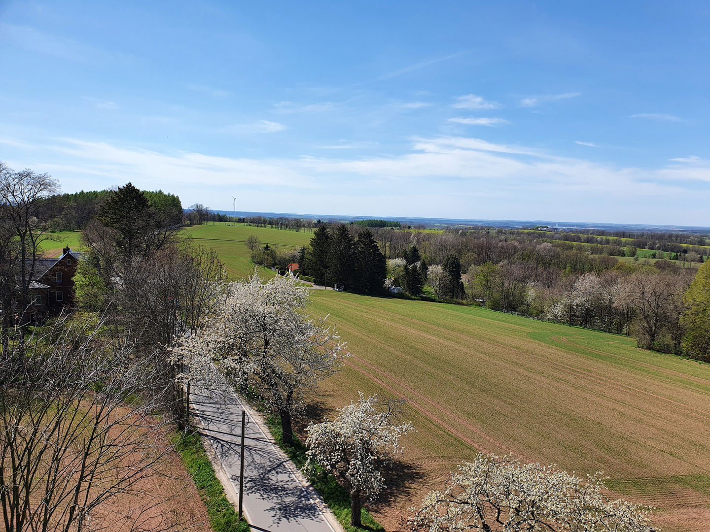 Blick vom Aussichtsturm