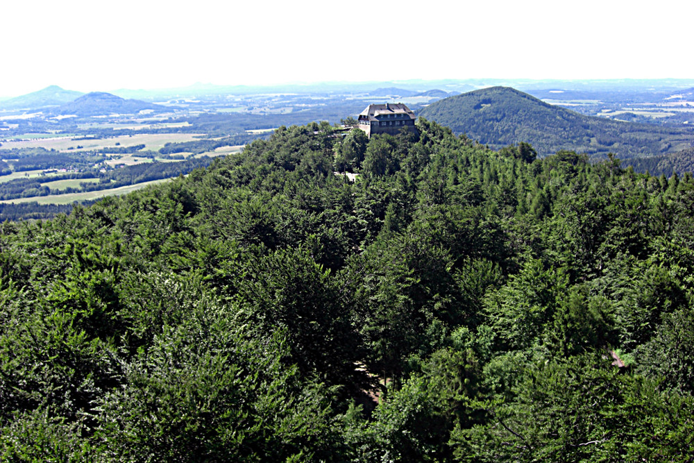 Blick vom Aussichtsturm auf dem Hochwald...