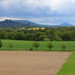 Blick vom Aussichtsturm