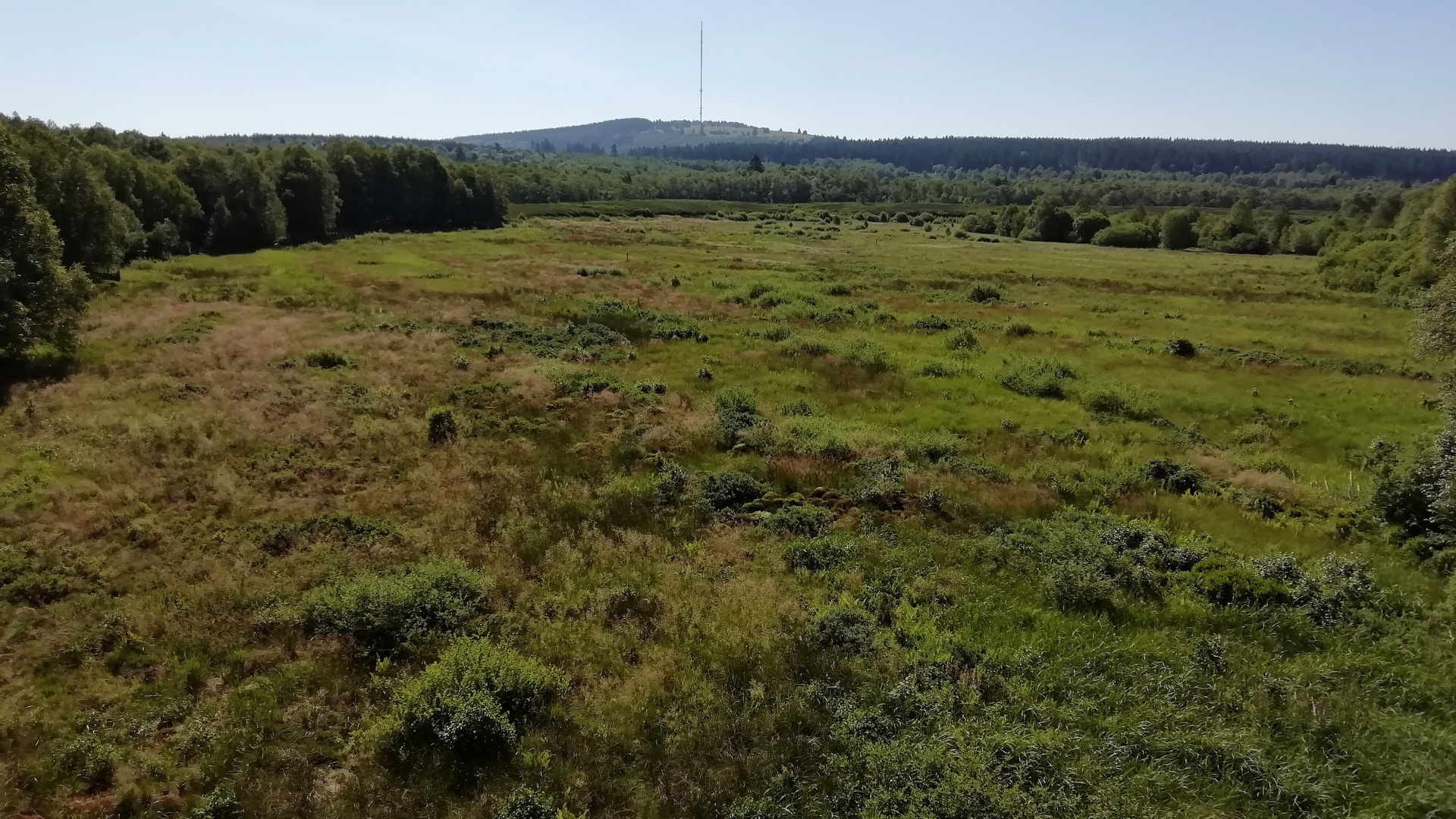 Blick vom Aussichtsturm im Roten Moor (IMG_20190628_094412_ji)