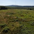 Blick vom Aussichtsturm im Roten Moor (IMG_20190628_094412_ji)