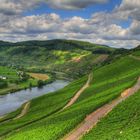 Blick vom Aussichtsturm in Alf/Mosel