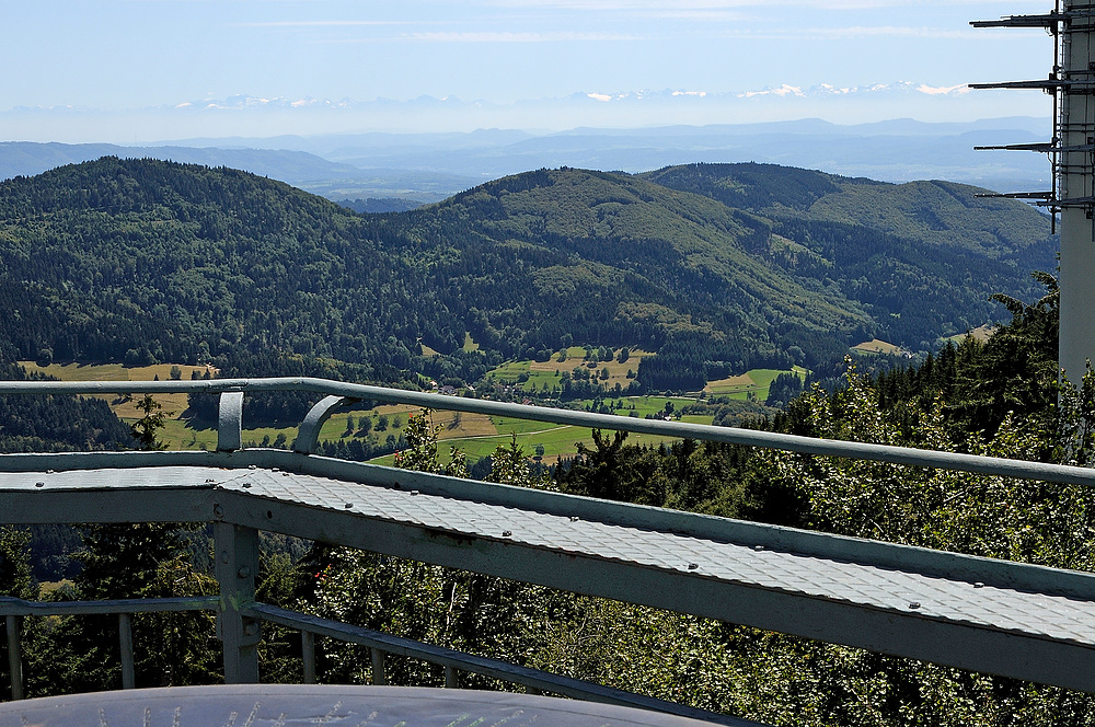 Blick vom Aussichturm des Blauen