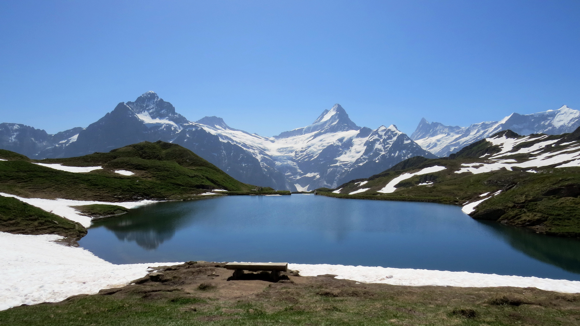 Blick vom Bachalpsee auf Wetter- und Schreckhorn