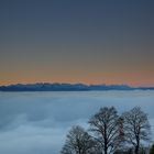 Blick vom Bachtel in Richtung Alpen