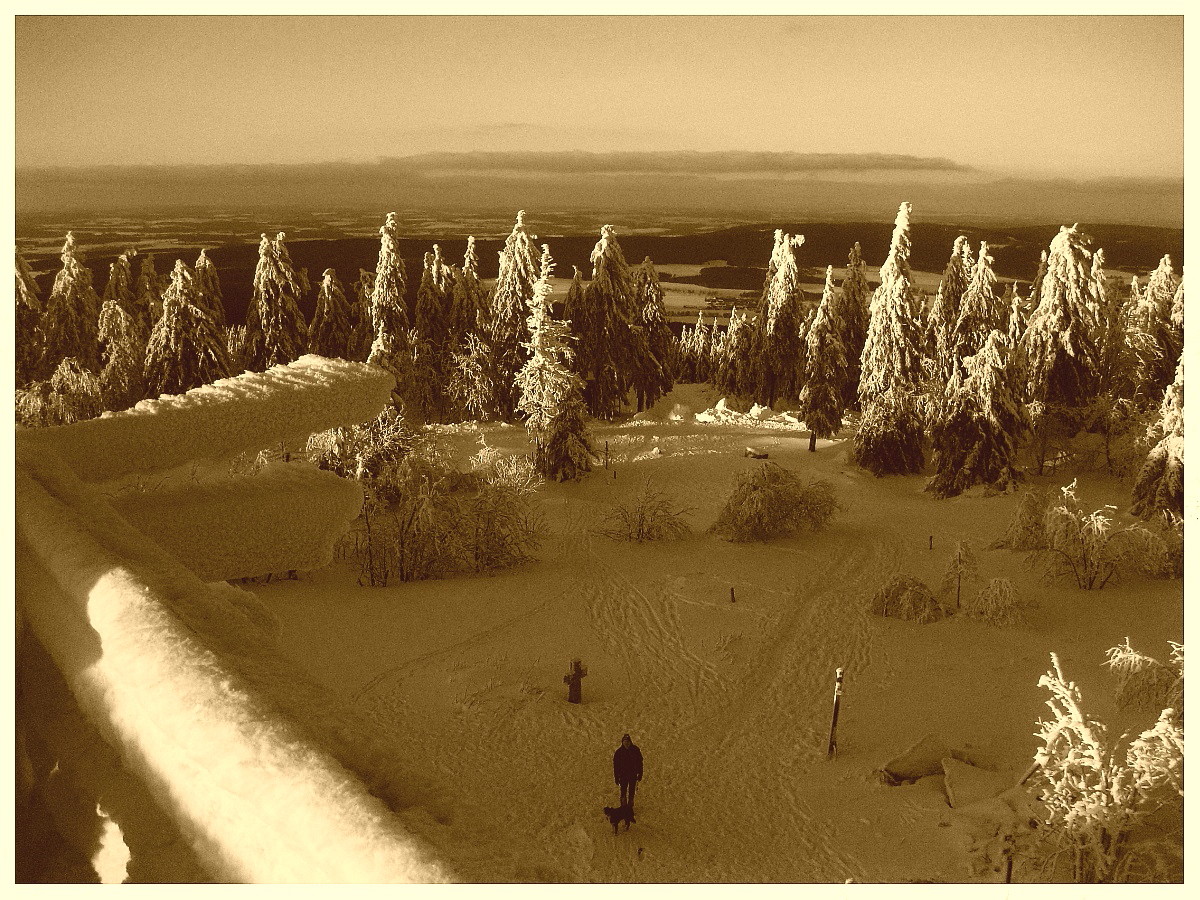 Blick vom Backöfele auf dem Schneeberg