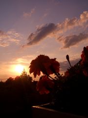 Blick vom Balkon