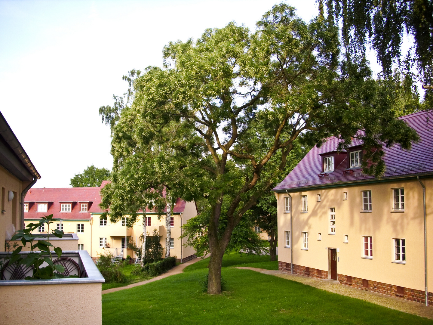 Blick vom Balkon